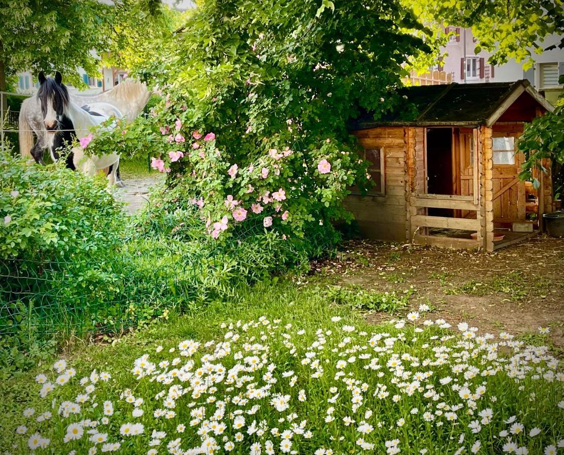 Rohrachhof Apartment Treuchtlingen Exterior photo